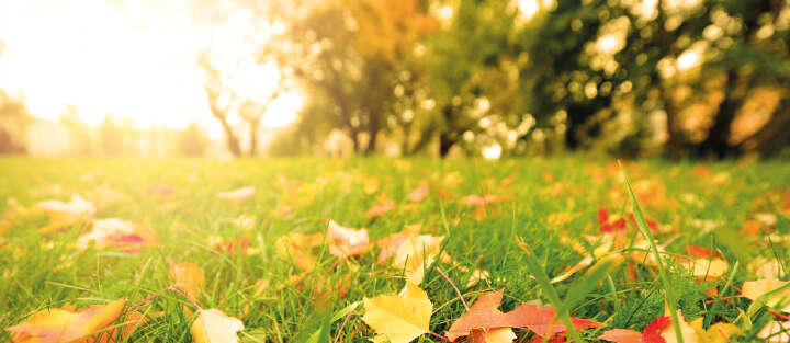 prospekt sebtember einstiegsbild 1700x740 5 (1)